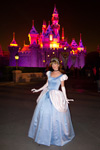 Cinderella Costume