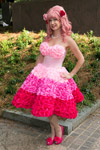 Layer Cake Pink Flower Dress