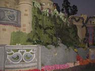 IMG_6855