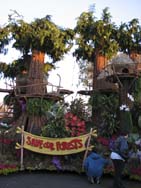 IMG_6874